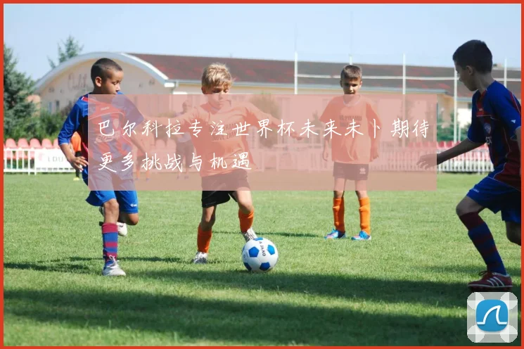 巴尔科拉专注世界杯未来未卜期待更多挑战与机遇