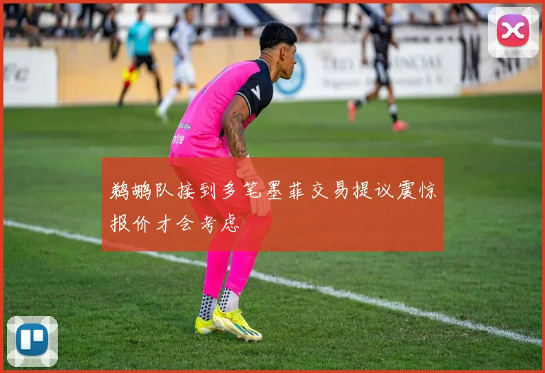 鹈鹕队接到多笔墨菲交易提议震惊报价才会考虑